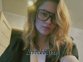 Breckbarris