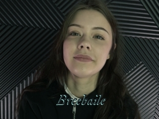 Breebaile