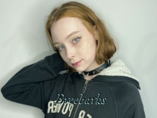 Breebarks