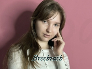 Breebrach