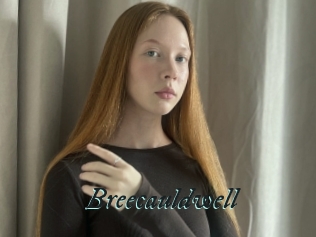 Breecauldwell