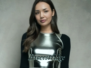 Breeestridge