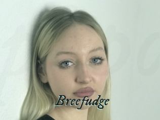 Breefudge