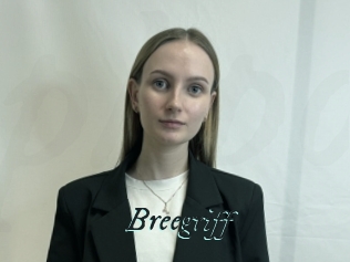 Breegriff