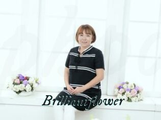 Brilliantflower