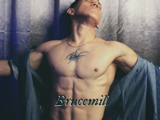 Brucemill