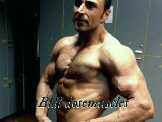 Bull_dosemuscles