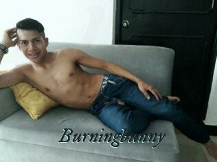 Burningbunny