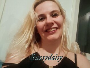 Bussydaisy