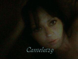 Camelot29