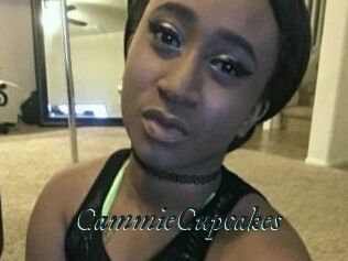 CammieCupcakes