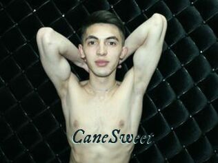 CaneSweet