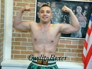 CarlitoBoxer