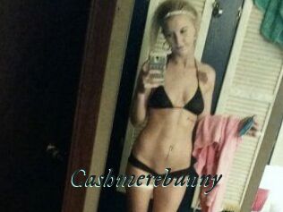 Cashmerebunny