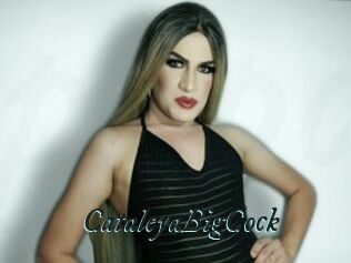 CataleyaBigCock