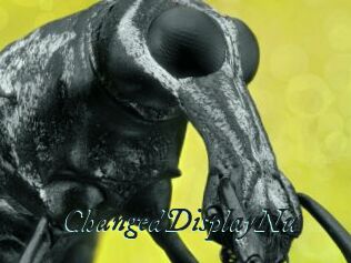 ChangedDisplayNu
