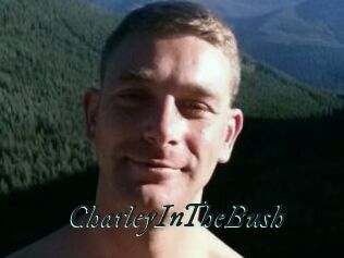 CharleyInTheBush