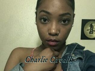 Charlie_Cavalli