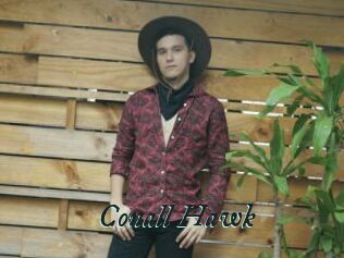 Conall_Hawk