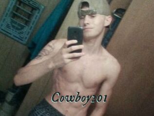 Cowboy201