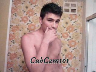 CubCam101