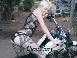 CuntFairy