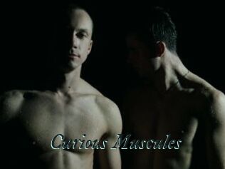 Curious_Muscules