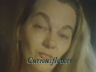 Curiousflower