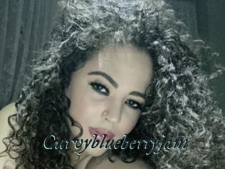 Curvyblueberryjam