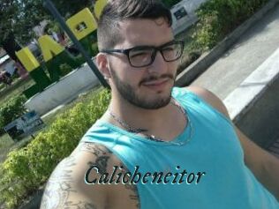 Calicheneitor