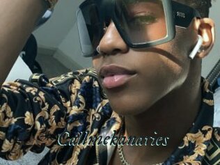 Callmekanaries