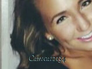 Camcat2134