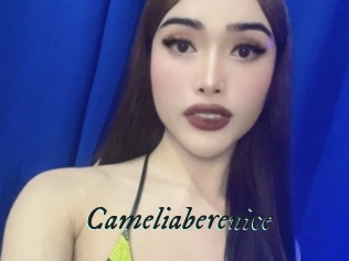 Cameliaberenice