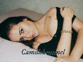 Camillekemmel