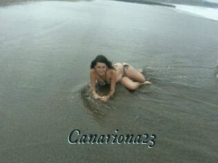 Canariona23