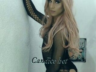 Candice_hot