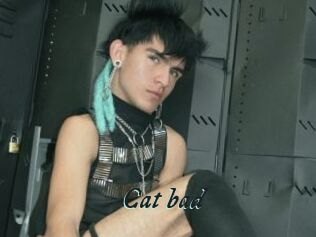 Cat_bad