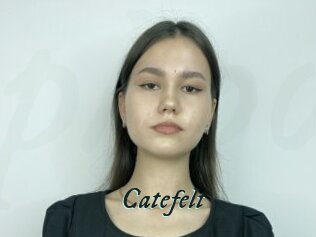 Catefelt