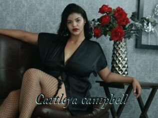 Cattleya_campbell