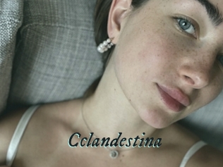 cclandestina Pharaons Porn