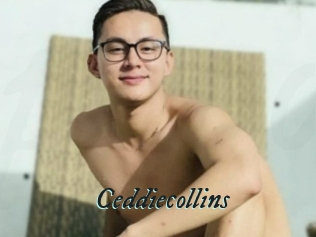 Ceddiecollins