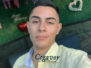 Cegavoy
