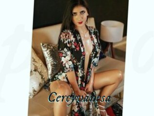 Cercyvanesa