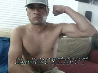 CharlieBUSTANUT