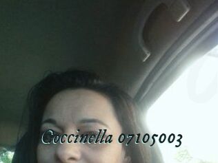 Coccinella-07105003