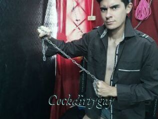 Cockdirtygay