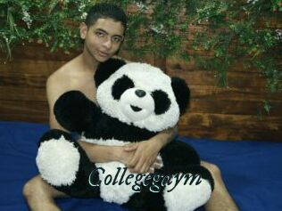 Collegegaym
