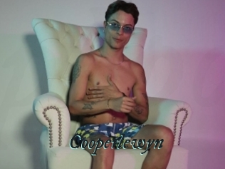 Cooperlewyn