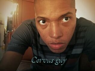 Corvus_guy