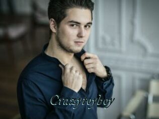 Crazytoyboy